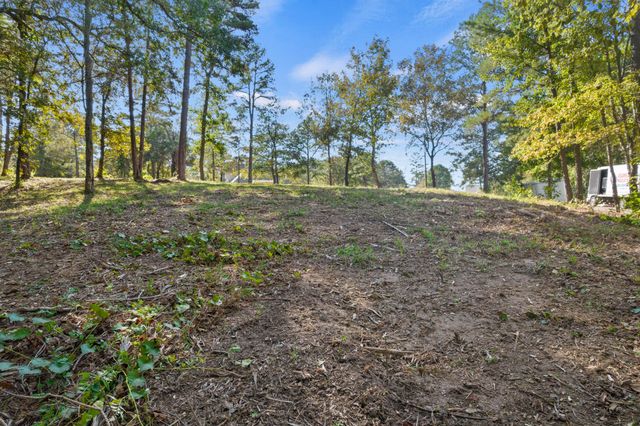 TBD Charlya Drive, Scroggins, TX 75480
