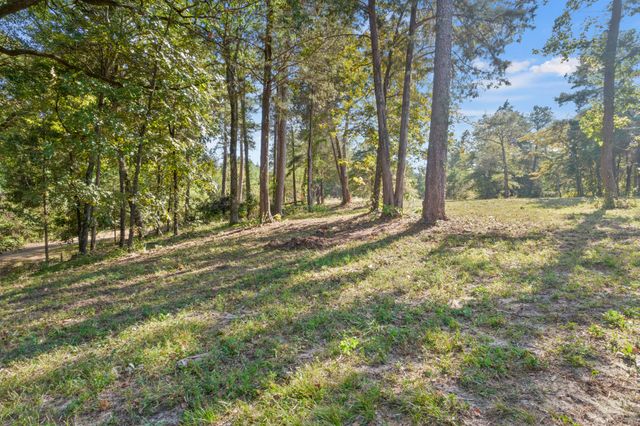 TBD Charlya Drive, Scroggins, TX 75480