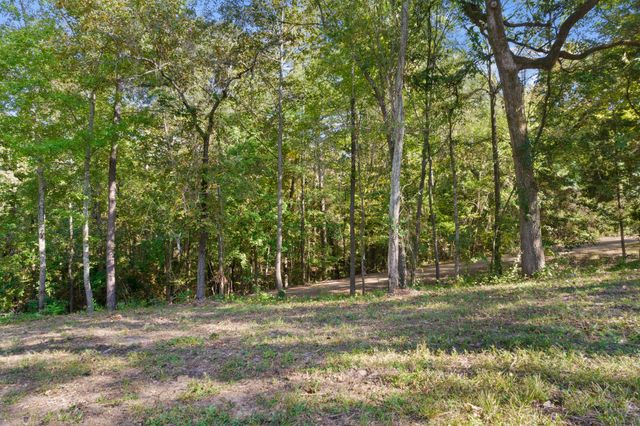 TBD Charlya Drive, Scroggins, TX 75480
