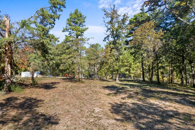 TBD Charlya Drive, Scroggins, TX 75480