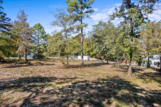 TBD Charlya Drive, Scroggins, TX 75480