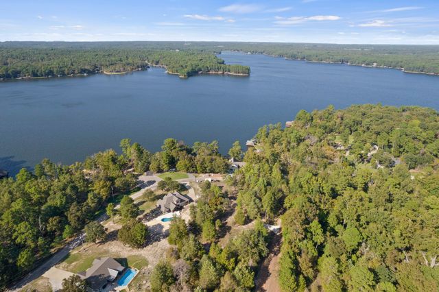 TBD Charlya Drive, Scroggins, TX 75480