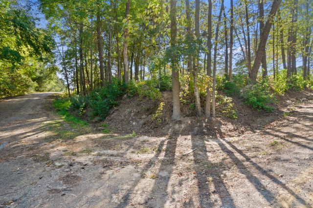TBD Charlya Drive, Scroggins, TX 75480