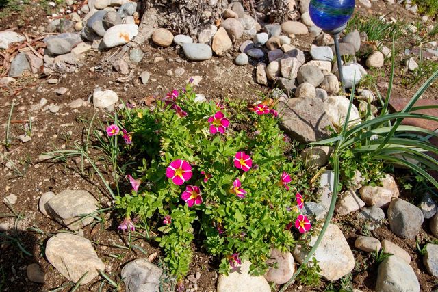 701 S Stevens St, Deer Park, WA 99006