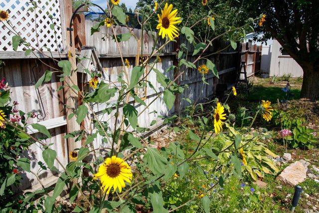 701 S Stevens St, Deer Park, WA 99006