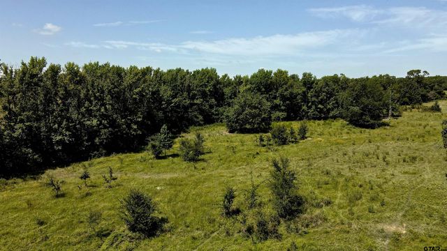 10142 FM 773, Murchison, TX 75778