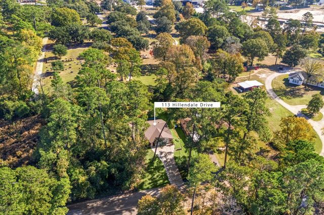 113 Hillendale Drive, Livingston, TX 77351