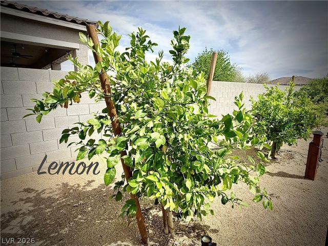 4911 Sandalwood Drive, Pahrump, NV 89061