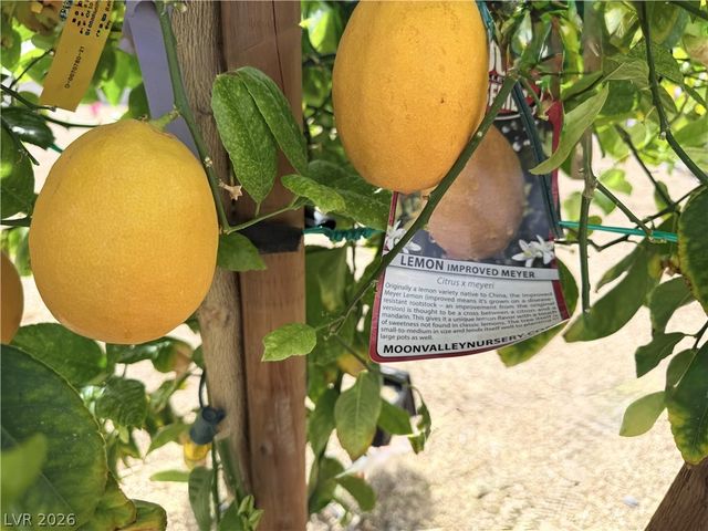 4911 Sandalwood Drive, Pahrump, NV 89061