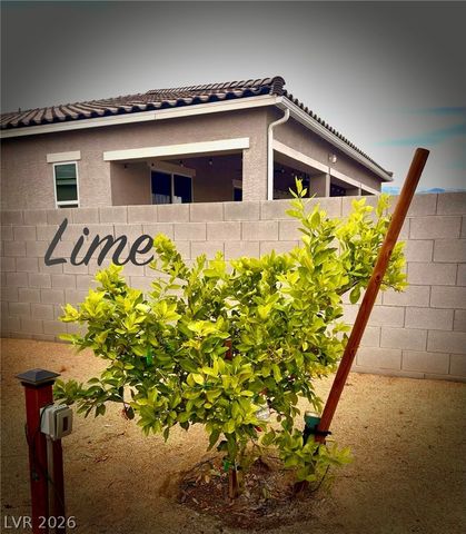 4911 Sandalwood Drive, Pahrump, NV 89061