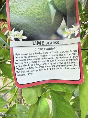 4911 Sandalwood Drive, Pahrump, NV 89061