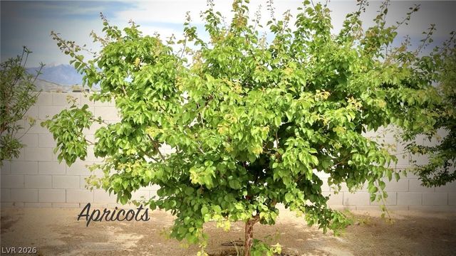 4911 Sandalwood Drive, Pahrump, NV 89061