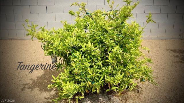 4911 Sandalwood Drive, Pahrump, NV 89061