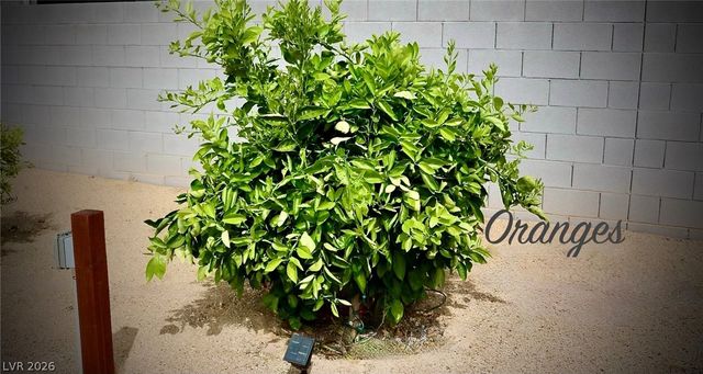 4911 Sandalwood Drive, Pahrump, NV 89061