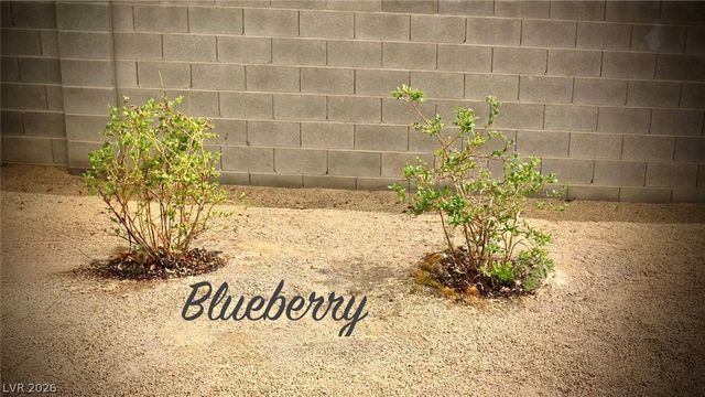 4911 Sandalwood Drive, Pahrump, NV 89061