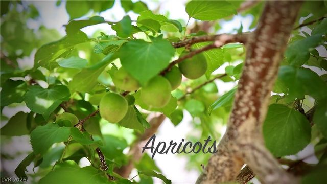 4911 Sandalwood Drive, Pahrump, NV 89061