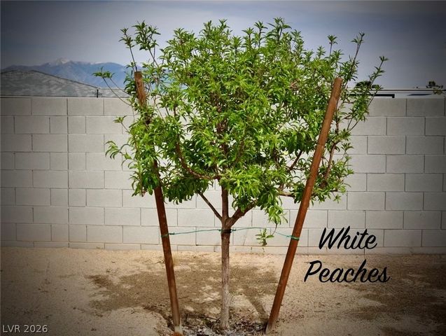 4911 Sandalwood Drive, Pahrump, NV 89061