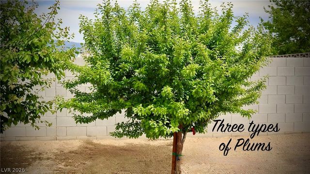 4911 Sandalwood Drive, Pahrump, NV 89061