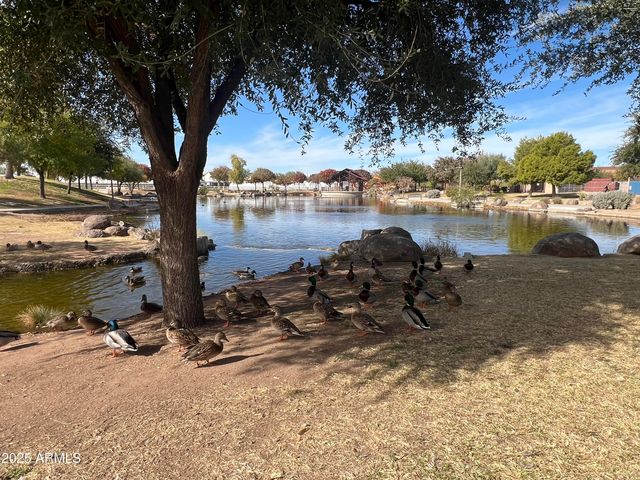 4924 S CHARGER --, Mesa, AZ 85212