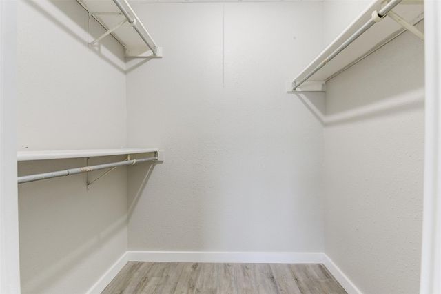 24015 Beef Canyon Drive, Hockley, TX 77447