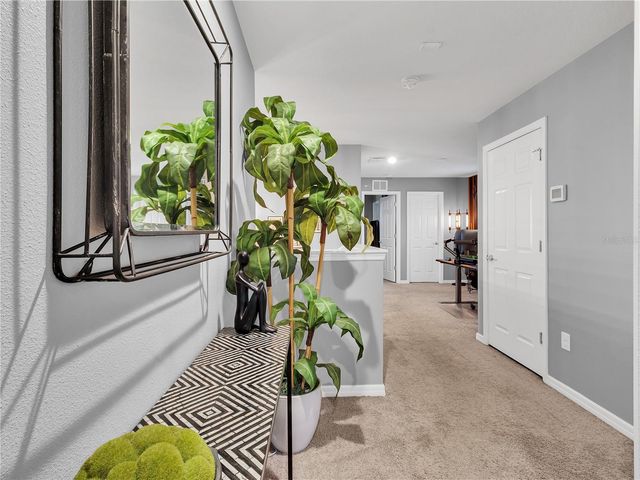 5019 BLUE LATAN LANE, Tampa, FL 33610