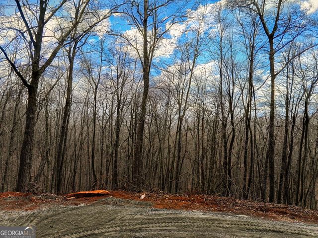 LOT 7 Mount Mincie Road, Murrayville, GA 30564