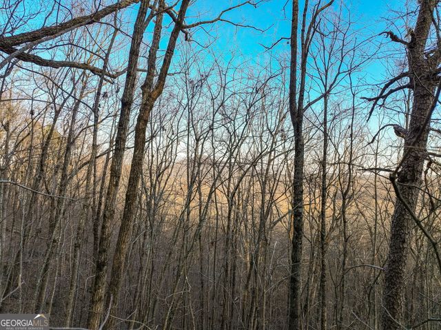 LOT 7 Mount Mincie Road, Murrayville, GA 30564