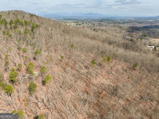 LOT 7 Mount Mincie Road, Murrayville, GA 30564