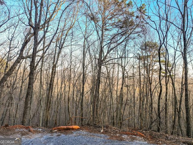 LOT 7 Mount Mincie Road, Murrayville, GA 30564