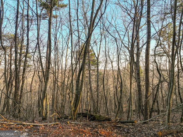 LOT 7 Mount Mincie Road, Murrayville, GA 30564