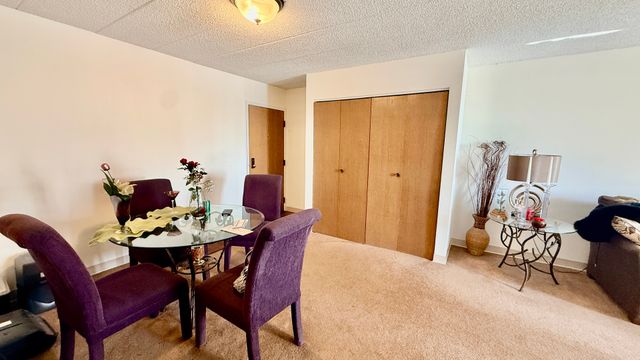 606 E Woodland Park Avenue 608, Chicago, IL 60616