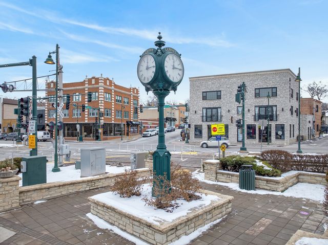 332 River Street 4504, Lemont, IL 60439