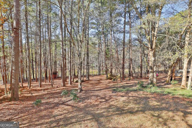 190 Willow Lake Lane, Sharpsburg, GA 30277