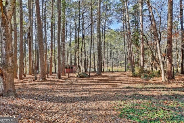 190 Willow Lake Lane, Sharpsburg, GA 30277