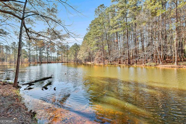 190 Willow Lake Lane, Sharpsburg, GA 30277