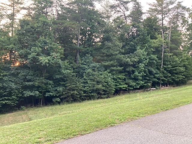 Lot 28 Freedom LN, Wirtz, VA 24184