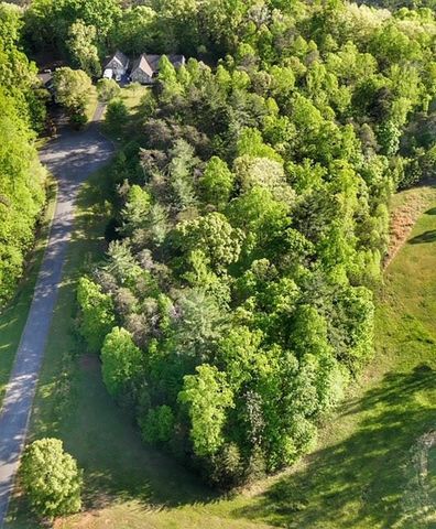 Lot 28 Freedom LN, Wirtz, VA 24184