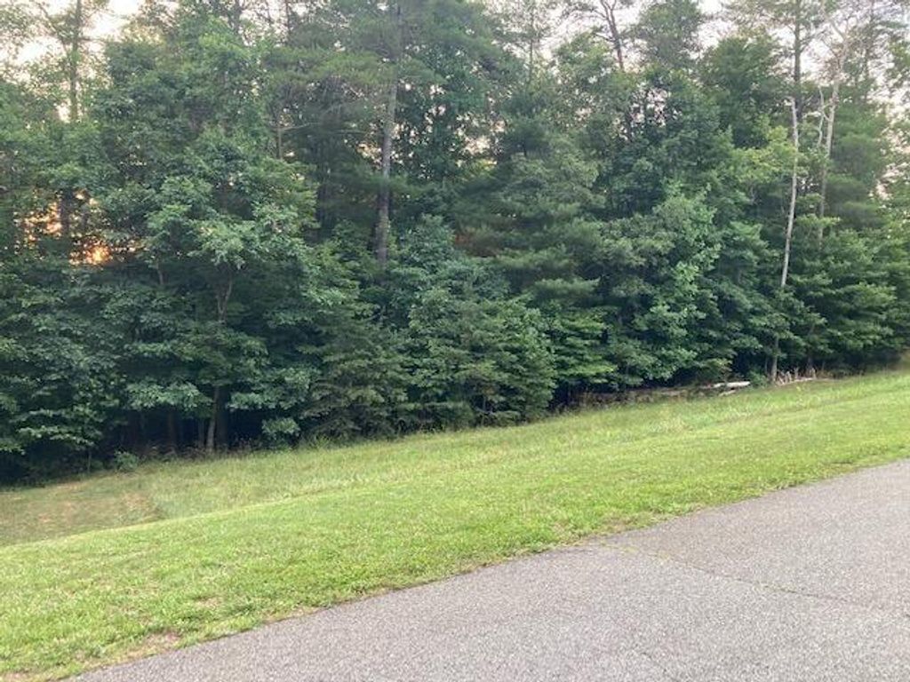 Lot 28 Freedom LN, Wirtz, VA 24184
