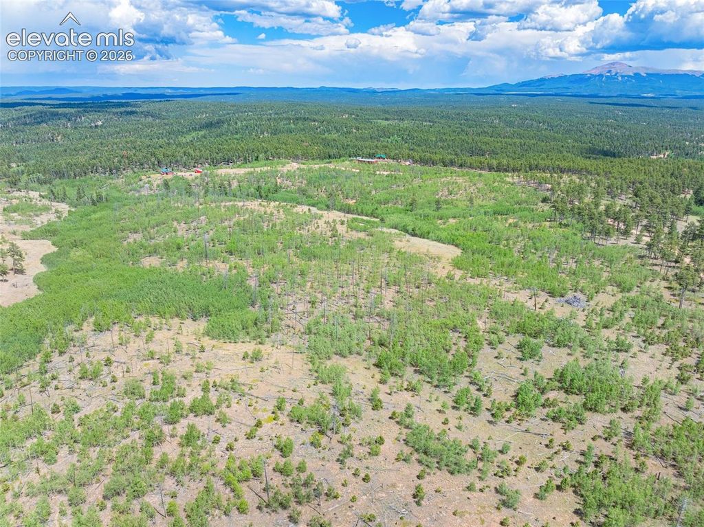 Unit 2 County Road 51, Florissant, CO 80816 — exterior