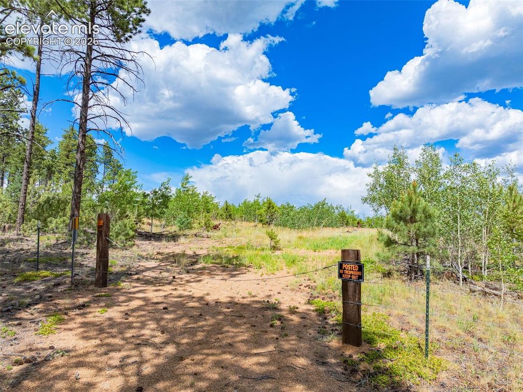 Unit 2 County Road 51, Florissant, CO 80816 — photo 2