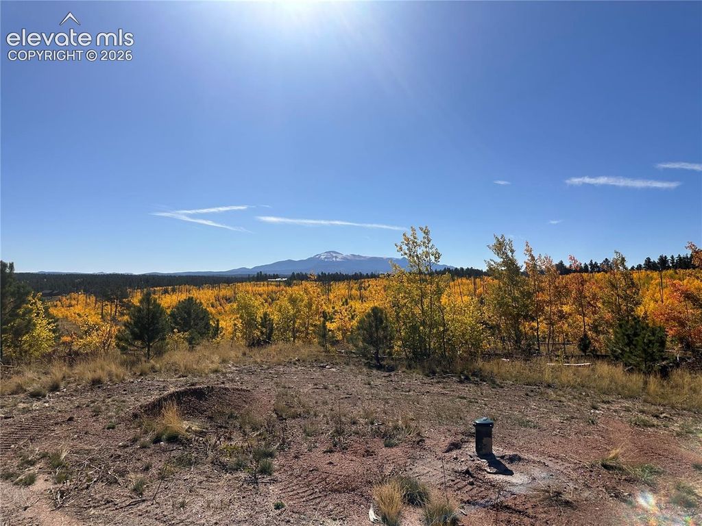 Unit 2 County Road 51, Florissant, CO 80816 — photo 3