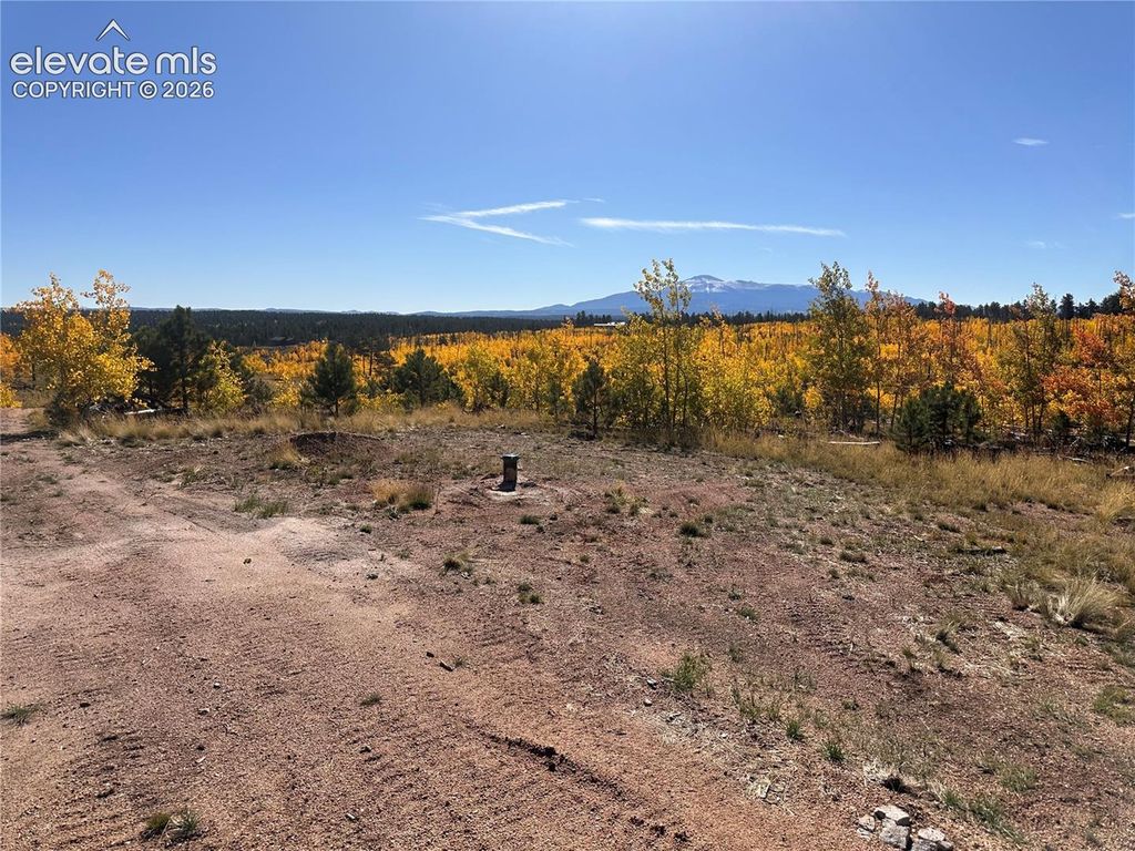 Unit 2 County Road 51, Florissant, CO 80816 — photo 4