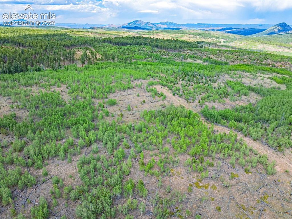 Unit 2 County Road 51, Florissant, CO 80816 — photo 5
