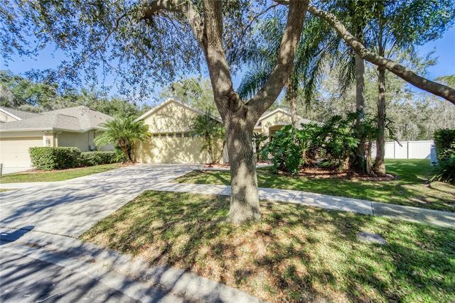 10124 CANNON DRIVE, Riverview, FL 33578