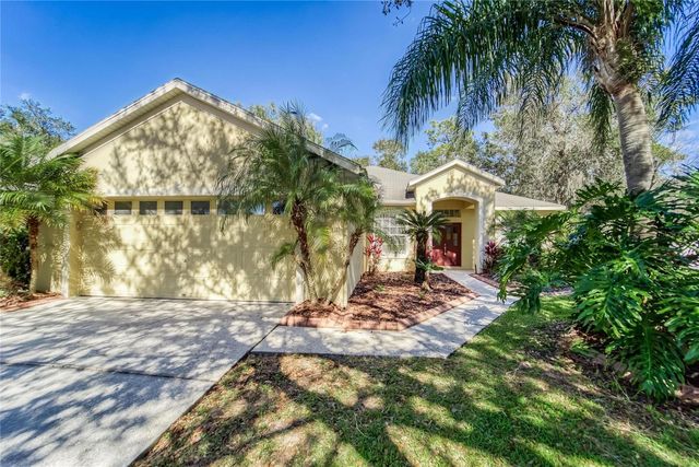 10124 CANNON DRIVE, Riverview, FL 33578