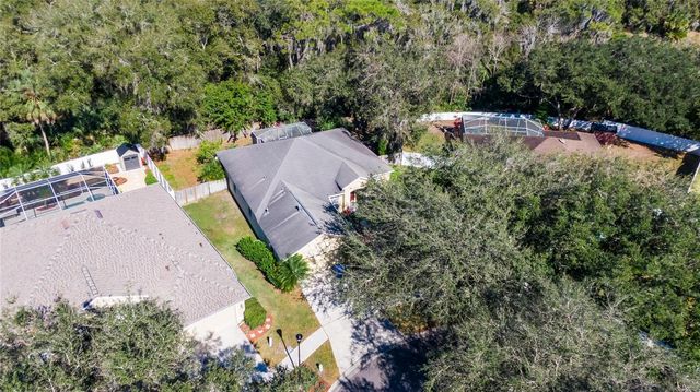 10124 CANNON DRIVE, Riverview, FL 33578