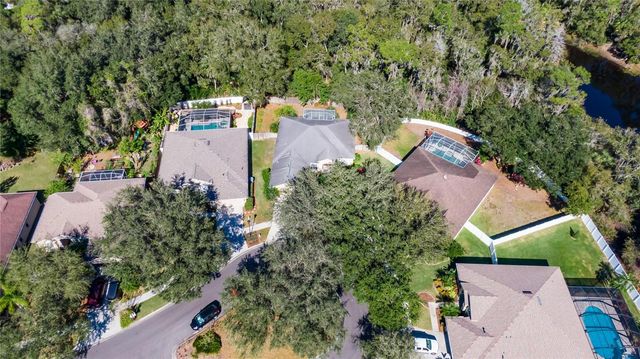 10124 CANNON DRIVE, Riverview, FL 33578