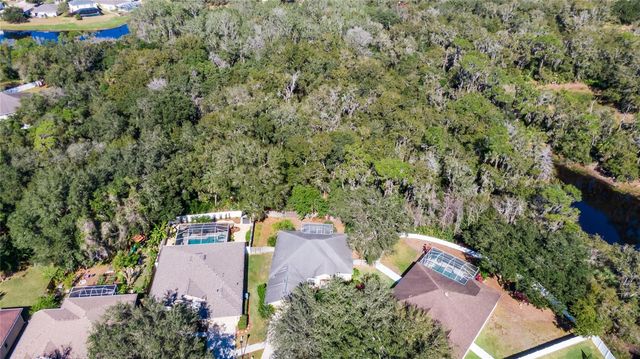 10124 CANNON DRIVE, Riverview, FL 33578