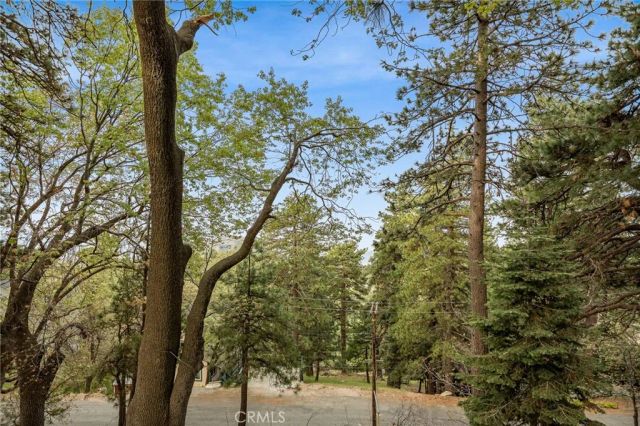 30668 Ferndale, Running Springs, CA 92382