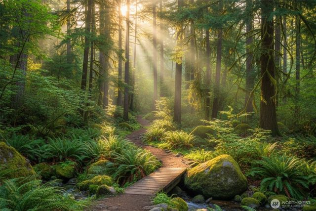 1588 102nd Avenue NE, Bellevue, WA 98004